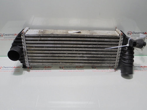 Radiator intercooler 8200427469, Renault Kangoo 1.5 dci (id:288770)