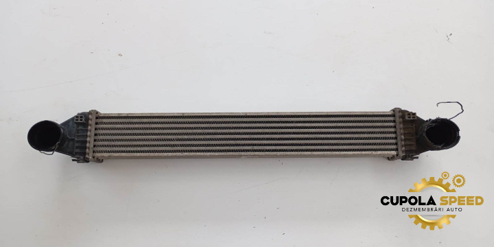 Radiator intercooler A1695000000 2.0CDI Mercedes-Benz B-Class W245 [2005 - 2008]