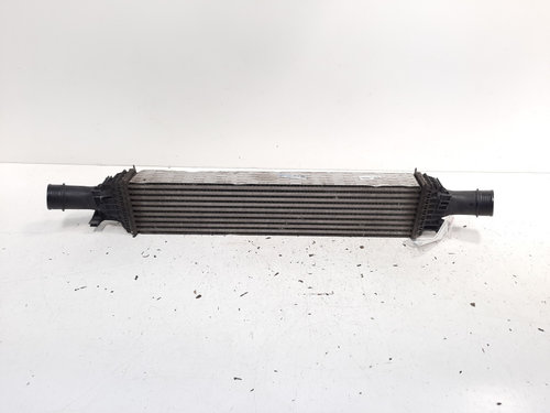 Radiator intercooler, Audi A6 (4F2, C6) 2.0 TDI, CAG (idi:607521)
