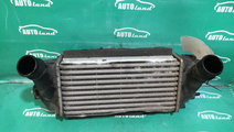 Radiator Intercooler C1b19l440ac 1.0 Benzina Ecobo...