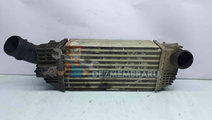 Radiator intercooler Citroen C5 (III) [Fabr 2008-2...