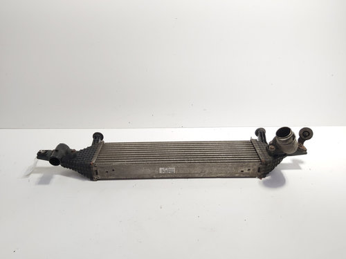 Radiator intercooler, cod 14461-BB50B, Nissan Qashqai 1.6 DCI, R9M402 (id:707166)