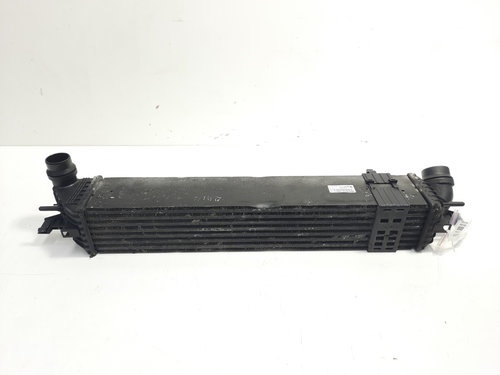 Radiator intercooler, cod 144960001R, Renault Laguna 3 Coupe, 2.0 DCI, M9R802 (idi:468656)
