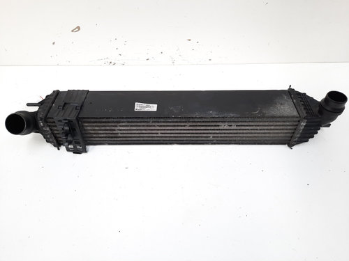 Radiator intercooler, cod 144960001R, Renault Laguna 3, 2.0 DCI, M9R802 (id:555081)