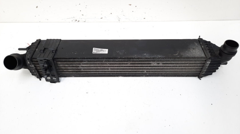 Radiator intercooler, cod 144960001R, Renault Laguna 3 Coupe, 2.0 DCI, M9R802 (idi:555081)