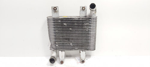 Radiator intercooler, cod 28190-4X40X, Hyundai Terracan (HP) 2.9 CRDI, P93U (id:689061)