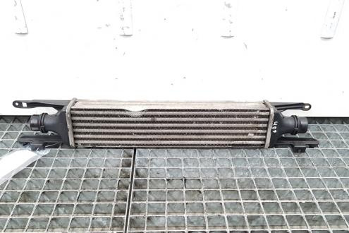 Radiator intercooler, cod 55702004, Fiat Grande Punto (199) 1.3D M-jet, 199A3000