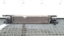 Radiator intercooler, cod 55702004, Fiat Grande Pu...