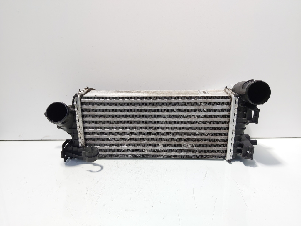 Radiator intercooler, cod CV61-9L440-VD, Ford Focus 3 1.0 benz, M1DA (id:701901)