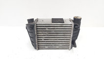 Radiator intercooler dreapta, cod 8E0145806L, Audi...