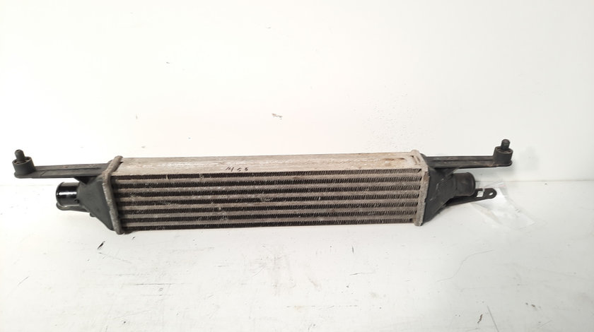 Radiator intercooler, Fiat Grande Punto (199), 1.3 M-Jet, 199A3000 (id:581973)