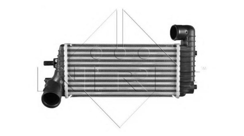 Radiator intercooler Ford GRAND C-MAX (DXA/CB7, DXA/CEU) 2010-2016 #2 097013N