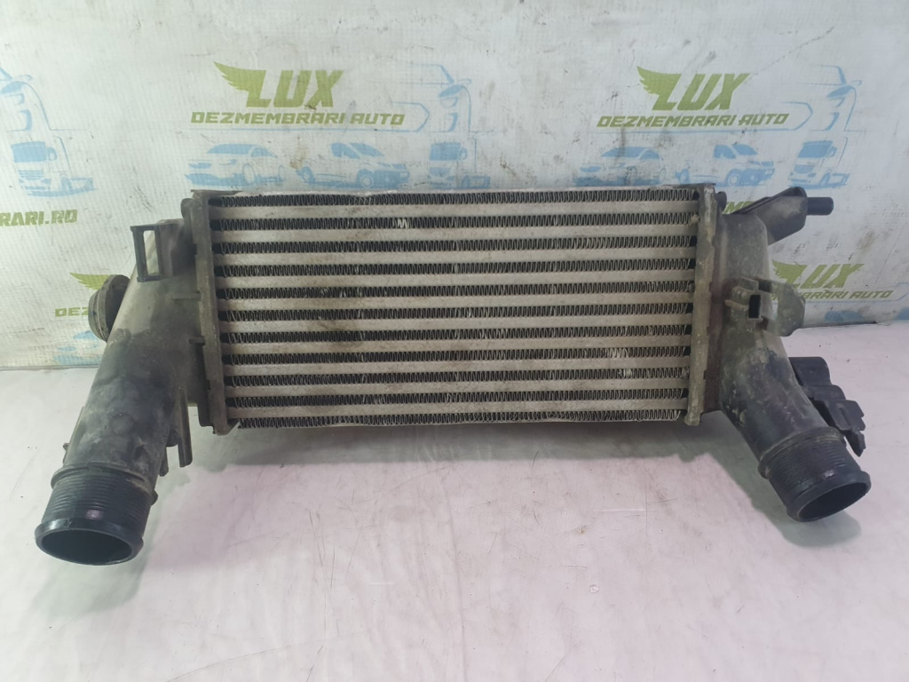 Radiator intercooler H1bg-6k775-ac 1.0 ecoboost M1JU Ford EcoSport 2 [2013 - 2019] 1.0 ecoboost M1JU