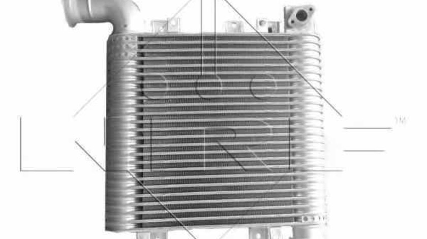 Radiator intercooler HYUNDAI SANTA FÉ II CM NRF 30331