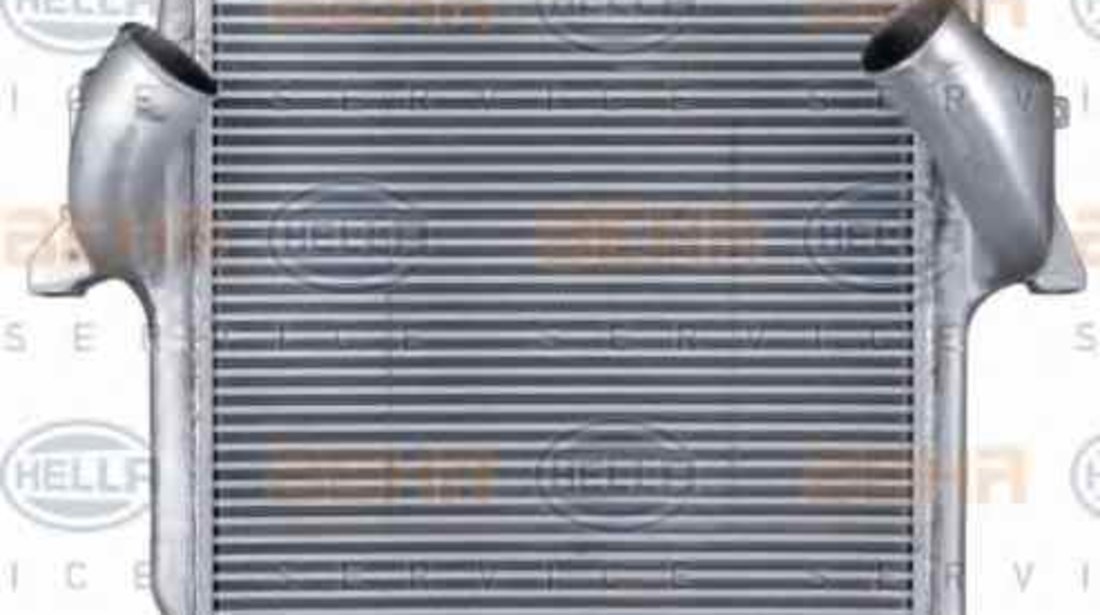 Radiator intercooler MERCEDES-BENZ ACTROS MP2 / MP3 HELLA 8ML 376 724-061