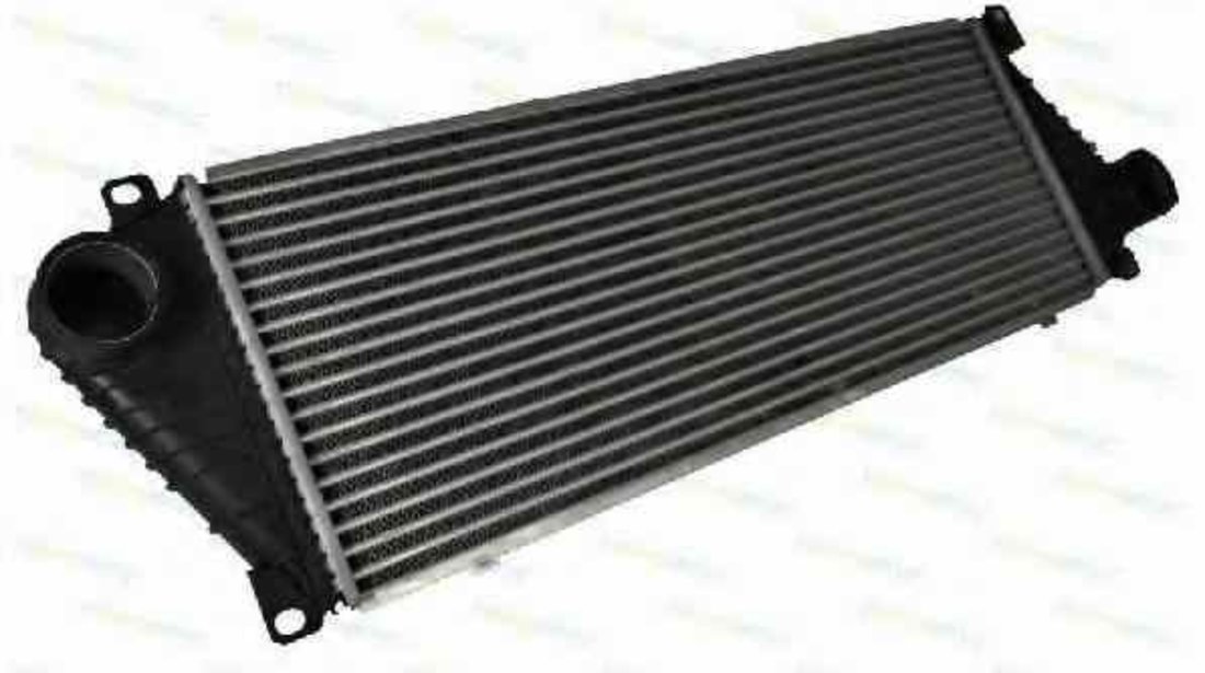 Radiator intercooler MERCEDES-BENZ SPRINTER 3-t platou / sasiu 903 THERMOTEC DAM001TT