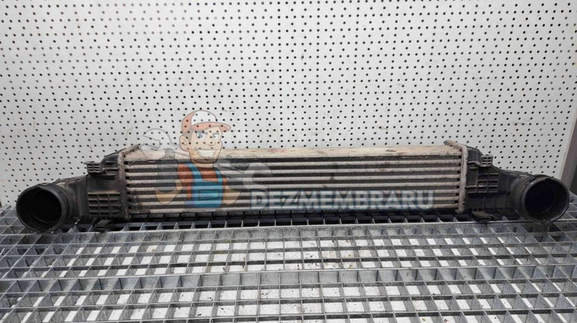 Radiator intercooler Mercedes Clasa E (W211) [Fabr 2002-2009] A2115003902 2.2 CDI 646821