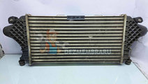 Radiator intercooler Mercedes Clasa ML (W166) [Fab...