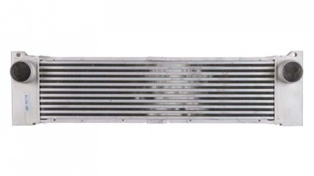 Radiator intercooler Mercedes VITO / MIXTO caroserie (W639) 2003-2016 #3 30004371