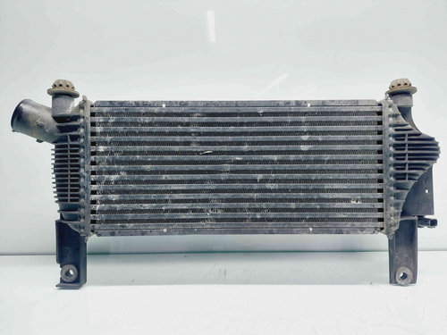 Radiator intercooler Nissan Navara (D40) [Fabr 2005-2014] 14461-EB360 2.5 DCI YD25DDI 2.5 DCI YD25DD...