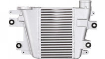 Radiator intercooler Nissan TERRANO Mk II (R20) 19...