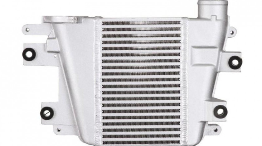 Radiator intercooler Nissan TERRANO Mk II (R20) 1992-2016 #3 14461VC104