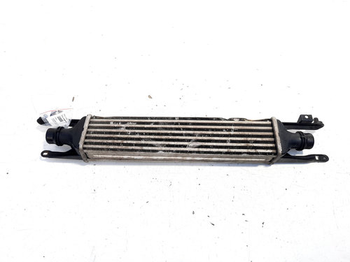 Radiator intercooler, Opel Corsa D, 1.3 CDTI, Z13DTJ (id:524600)