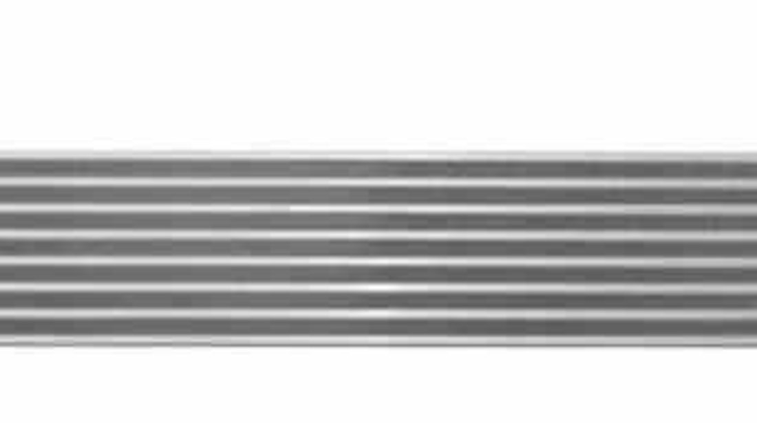 Radiator intercooler RENAULT KANGOO Express FC0/1 NRF 30353