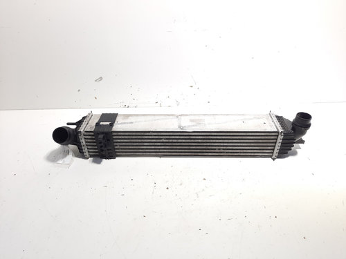 Radiator intercooler, Renault Laguna 3, 2.0 dci, M9R802 (id:565651)