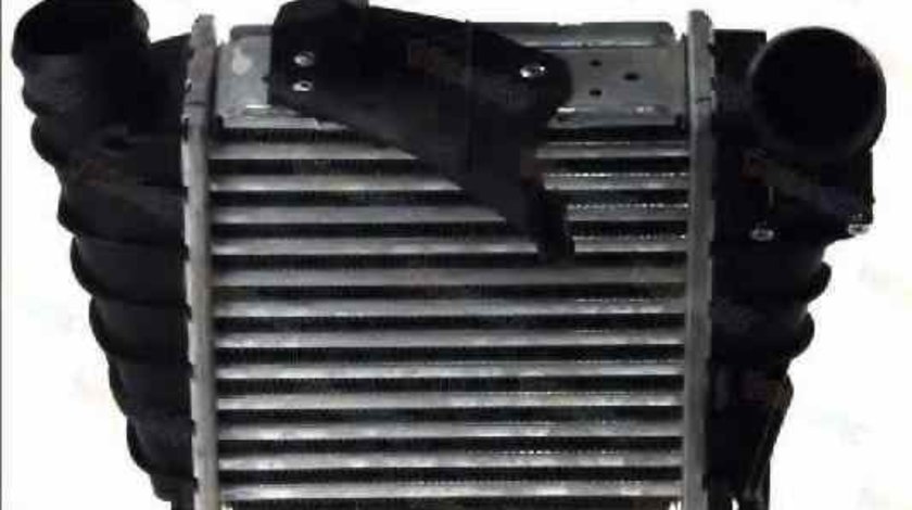 Radiator intercooler SEAT IBIZA IV 6L1 THERMOTEC DAW006TT