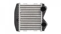 Radiator intercooler Smart CROSSBLADE (450) 2002-2...