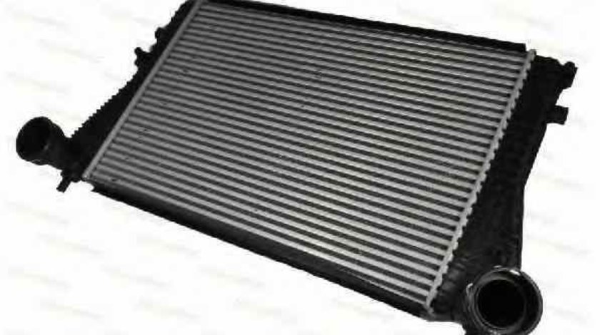 Radiator intercooler VW GOLF PLUS 5M1 521 Producator THERMOTEC DAW005TT
