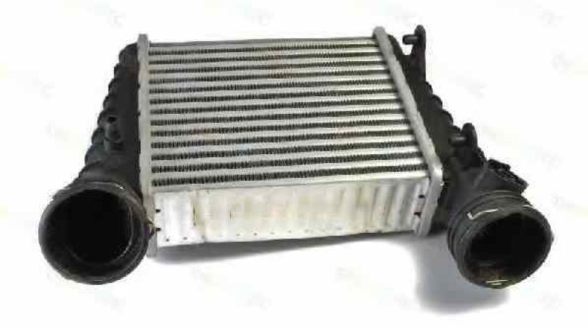 Radiator intercooler VW PASSAT 3B2 Producator THERMOTEC DAW003TT