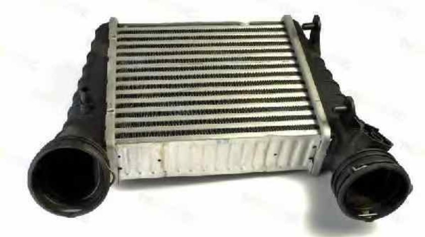 Radiator intercooler VW PASSAT 3B3 Producator THERMOTEC DAW004TT