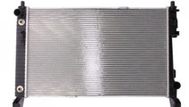 Radiator lichid racire Mercedes A-CLASS (W169) 200...