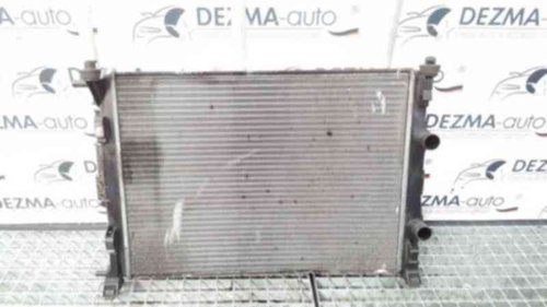 Radiator racire apa, 8200115542, Renault Megane 2 Coupe-Cabriolet, 1.9dci (id:332999)
