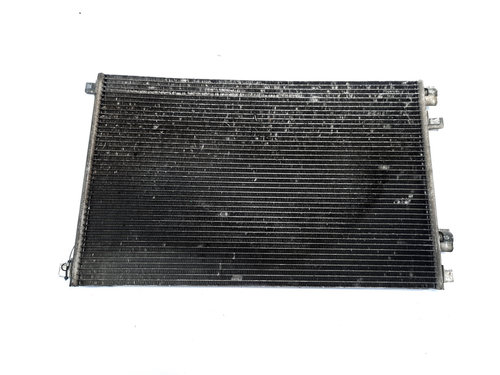 Radiator racire apa, cod 8200115543, Renault Megane 2 Coupe-Cabriolet, 1.9 DCI, F9Q1758 (id:510866)