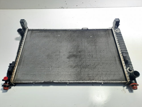 Radiator racire apa, cod A1695001803, Mercedes Clasa A (W169), 2.0 CDI, OM640940 (id:515371)