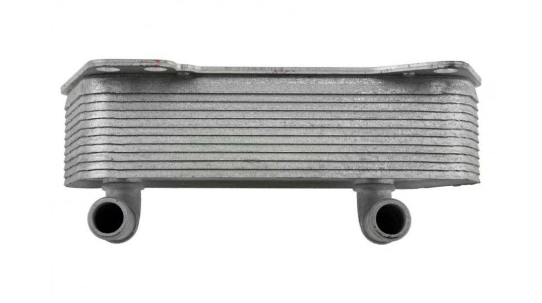 Radiator racire ulei Volkswagen Golf 6 (2008-2013)[5K1] #1 02E409061B