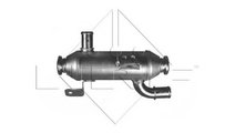Radiator recirculare gaze Citroen XSARA PICASSO (N...
