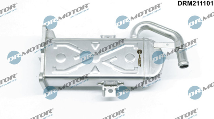 Radiator, recirculare gaze de esapament (DRM211101 DRM) AUDI,SEAT,SKODA,VW