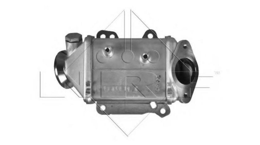 Radiator, recirculare gaze de esapament Fiat 500 (312) 2007-2016 #3 48009