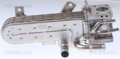 Radiator Recirculare Gaze De Esapament Triscan Audi 8813 29331