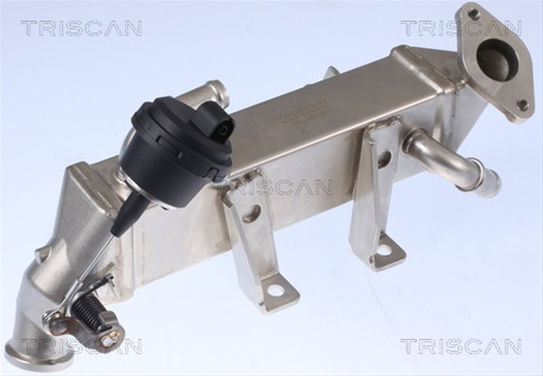 Radiator Recirculare Gaze De Esapament Triscan Renault 8813 25104