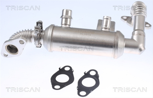 Radiator Recirculare Gaze De Esapament Triscan Ford 8813 16103