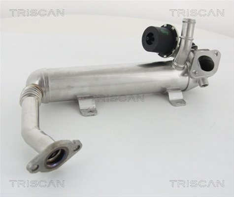 Radiator Recirculare Gaze De Esapament Triscan Audi 8813 29319