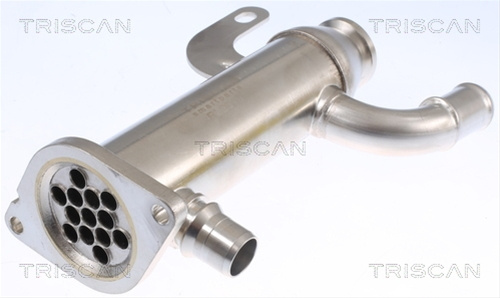 Radiator Recirculare Gaze De Esapament Triscan Ford 8813 10109