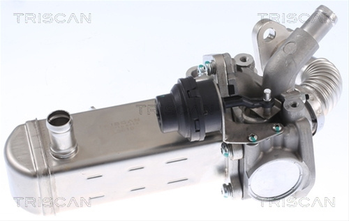 Radiator Recirculare Gaze De Esapament Triscan Nissan 8813 14031