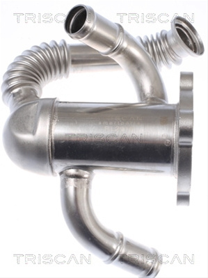 Radiator Recirculare Gaze De Esapament Triscan Fiat 8813 10114