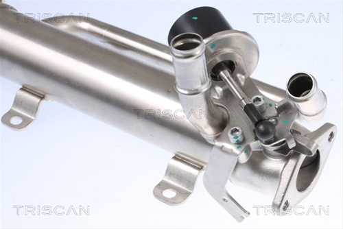 Radiator Recirculare Gaze De Esapament Triscan Seat 8813 29320